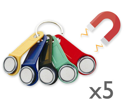 5x Magnetic Dallas key fob (iButton)