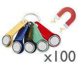100x Magnetic Dallas key fob (iButton)