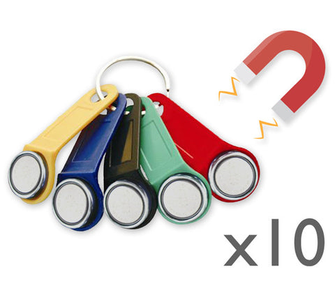 10x Magnetic Dallas key fob (iButton)