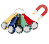 1x Magnetic Dallas key fob (iButton)